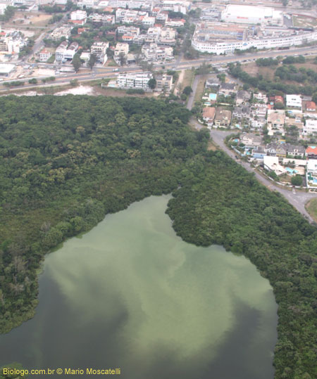 laguna de Marapendi