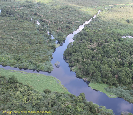 rio Guaxindiba