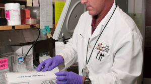 Biomedicina - biomédicas