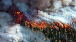 A hora de agir contra as mudanças climáticas