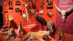 Férias nos museus de ciência