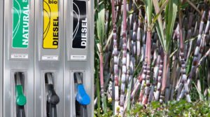 Biocombustíveis - Biodiesel