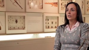 Profissão Entomólogo