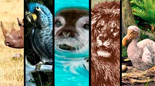 Dez animais extintos nos últimos 100 anos graças aos humanos, Biodiversidade