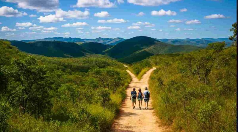 Bioética - caminhos