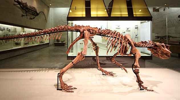Paleontologia - Psittacosaurus sibiricus