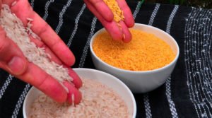 A polêmica dos alimentos transgênicos