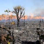 Os vilões do desmatamento