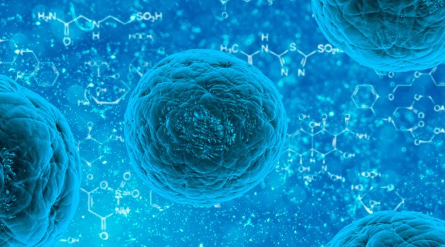 Documentário Células Tronco
