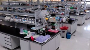 Laboratório, o “escritório” do biólogo