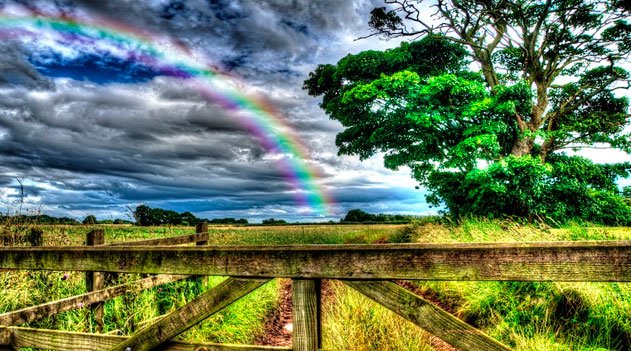 Documentário Agroecologia