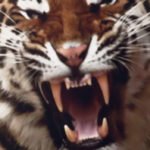 XXIV Semana da Biologia