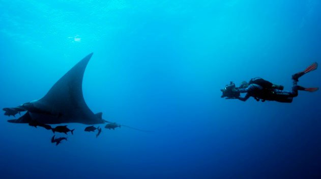 Todas as Manhãs do Mundo