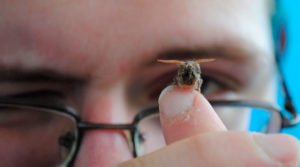 Biologia. cientista - Entomologia Forense