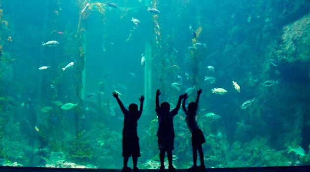 Dia Mundial da Água