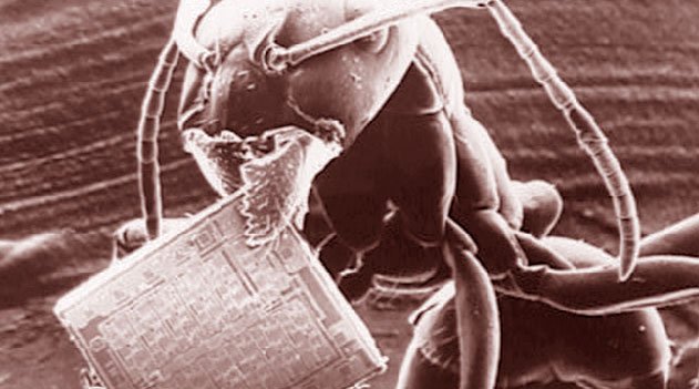 Vídeo Incríveis imagens de microscópio