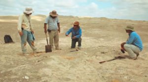 Expedição paleontológica