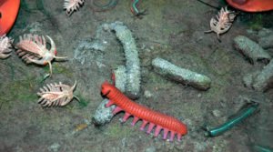 Como a vida começou