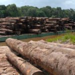 Desmatamento na Amazônia