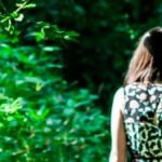 Meio Ambiente Inteiro