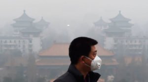 Dia do Meio Ambiente