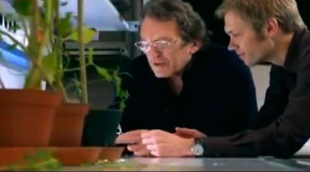 O universo das plantas