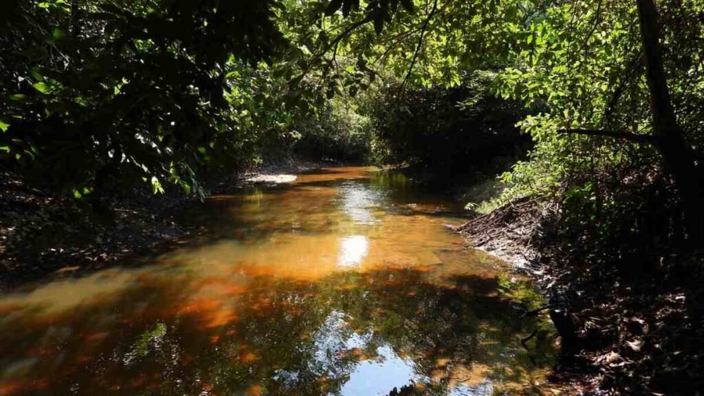 Expedição Humboldt