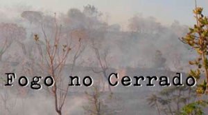 Fogo no Cerrado