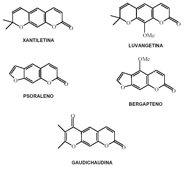 Mama-cadela. Química