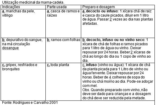 Utilização medicinal da mama-cadela