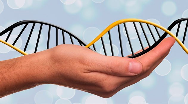 Importância da Genética - Epigenética: a sinfonia da herança além do gene