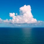 Acidificação dos oceanos