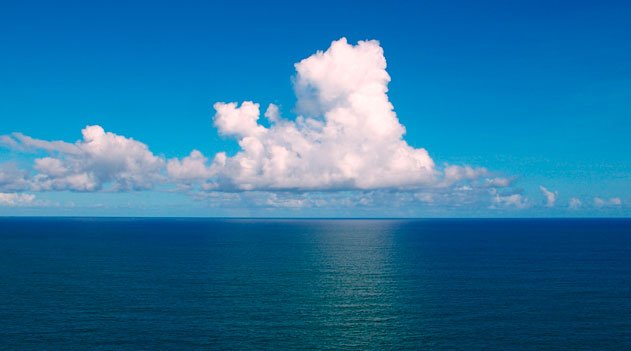 Acidificação dos oceanos