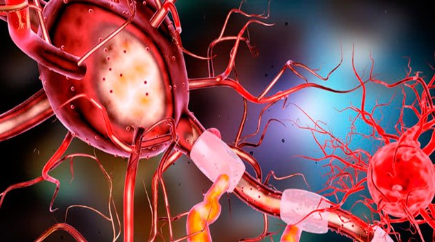 Funcionamento dos neurônios