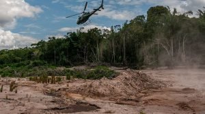 O custo do desmatamento