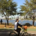 Importância das árvores nas cidades