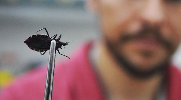 Barbeiros invadem São Paulo