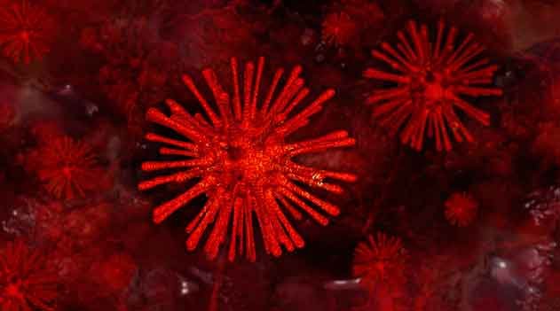 Documentário Os Vírus