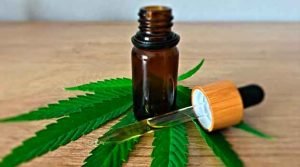 O valor do canabidiol