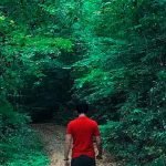 Opção pela biologia