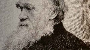 Os manuscritos de Darwin