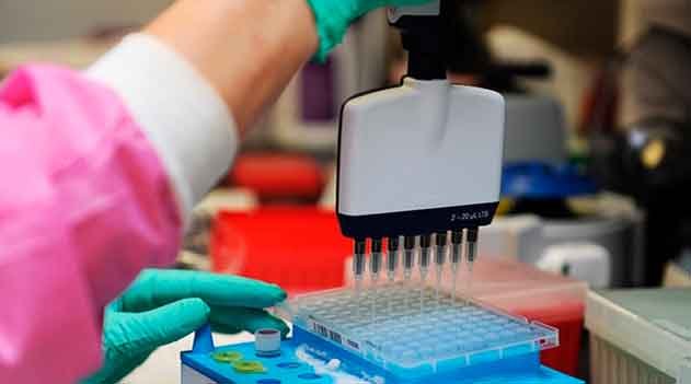 Teoria e prática da evolução