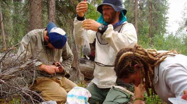 Atuação do biólogo