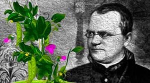 O Legado de Mendel