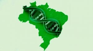 História da genética brasileira