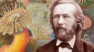Ernst Haeckel