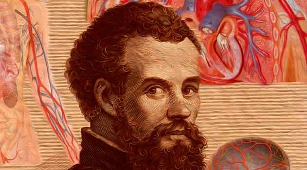 Andreas Vesalius - Anatomia