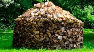 Identificando madeira ilegal