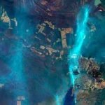 A nova realidade do Pantanal