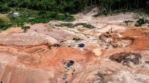 Desmatamento fora de controle